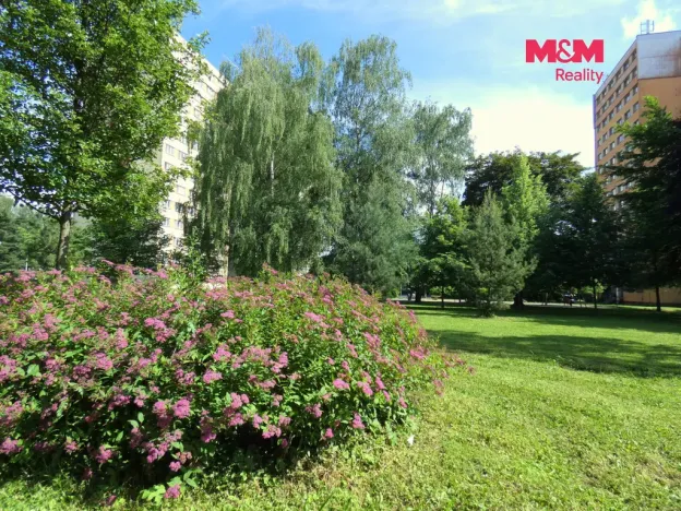 Pronájem bytu 1+kk, Ostrava - Moravská Ostrava, Petra Křičky, 30 m2