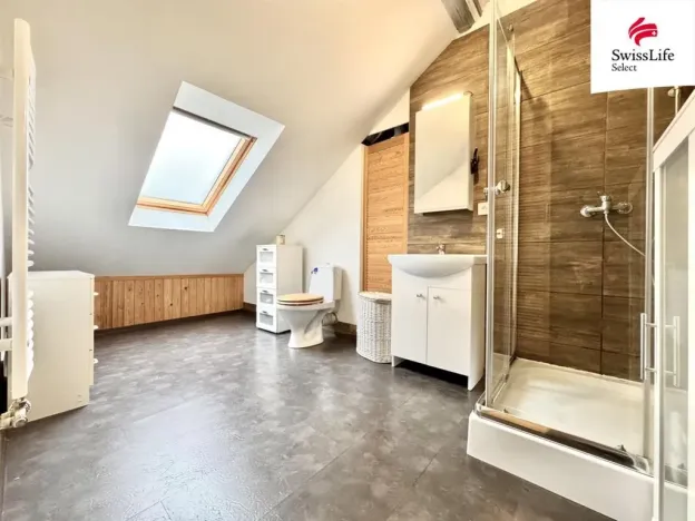 Prodej vícegeneračního domu, Teplice, Štúrova, 304 m2