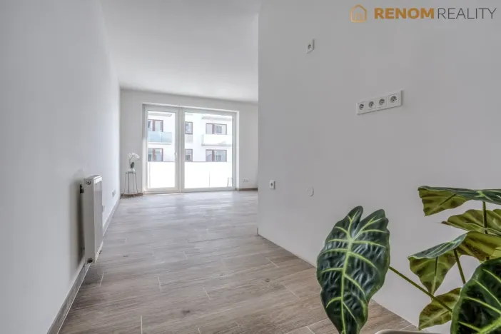 Pronájem bytu 2+kk, Olomouc, Třída Jiřího Pelikána, 50 m2
