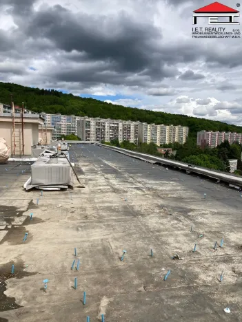 Prodej bytu 2+1, Litvínov - Janov, Třebušická, 40 m2