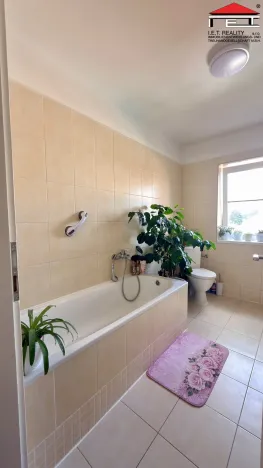 Prodej rodinného domu, Veselí nad Lužnicí, Malé náměstí, 303 m2