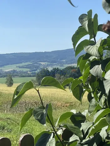 Prodej zemědělské usedlosti, Křemže, 1123 m2