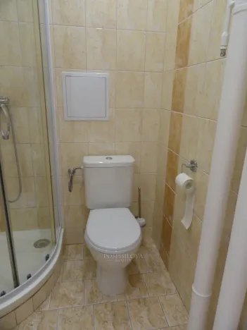 Pronájem bytu 1+1, Kladno, U výtopny, 32 m2