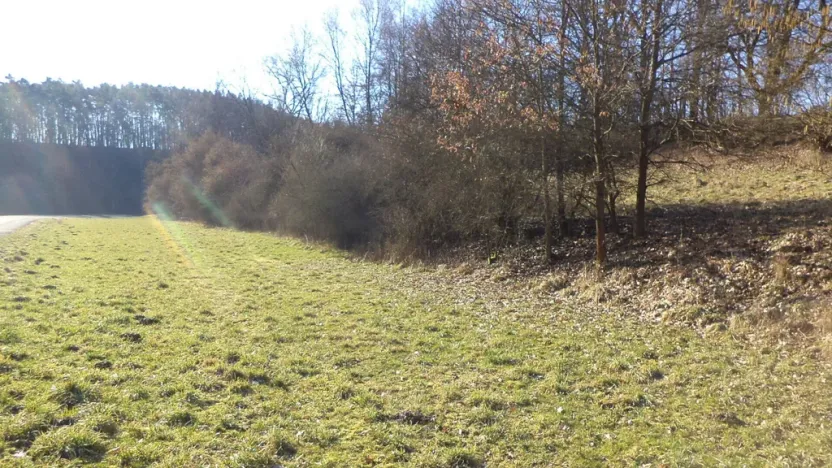Prodej pole, Snědovice - Sukorady, 5161 m2