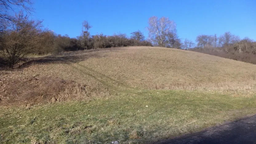 Prodej pole, Snědovice, 3880 m2