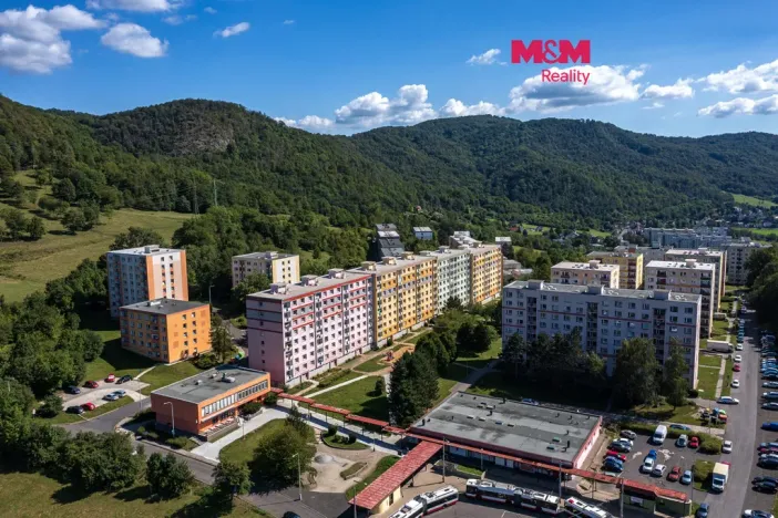 Prodej bytu 1+1, Ústí nad Labem - Mojžíř, Peškova, 35 m2