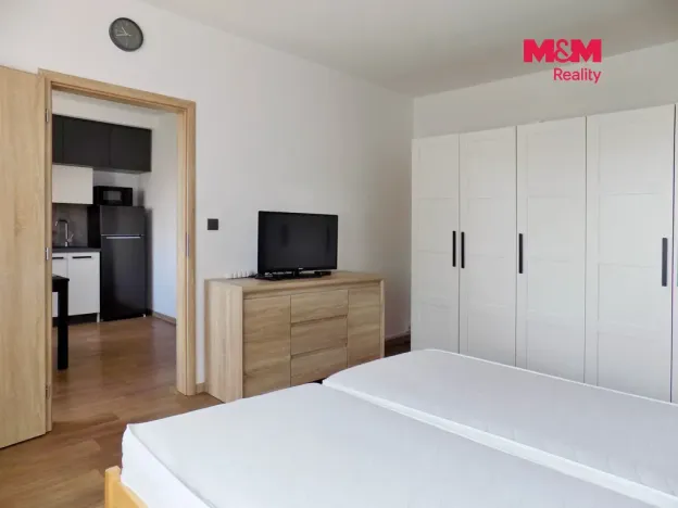 Prodej bytu 1+1, Ústí nad Labem - Mojžíř, Peškova, 35 m2