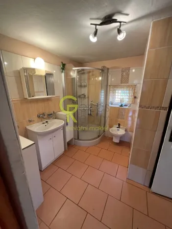 Pronájem rodinného domu, Záryby, 180 m2