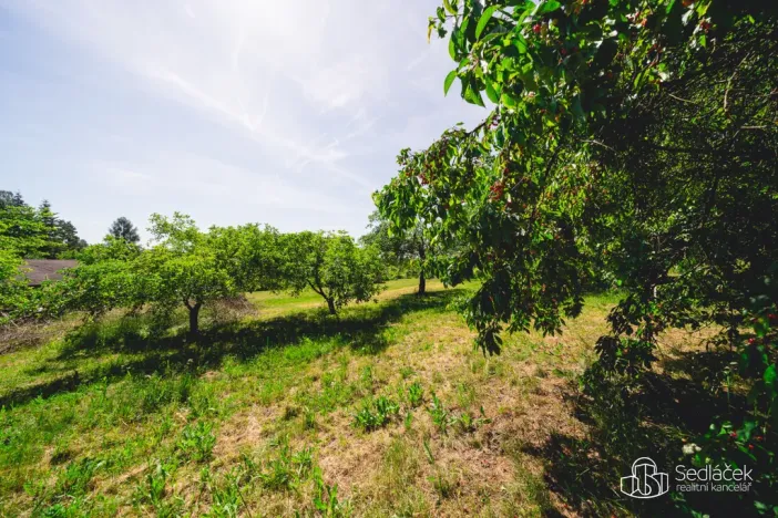 Prodej zemědělské usedlosti, Bělčice, 290 m2