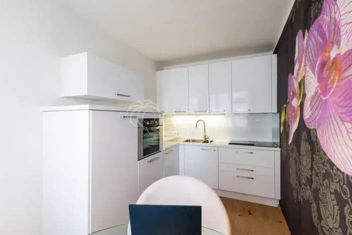 Pronájem bytu 1+1, Praha - Nusle, Kotorská, 39 m2
