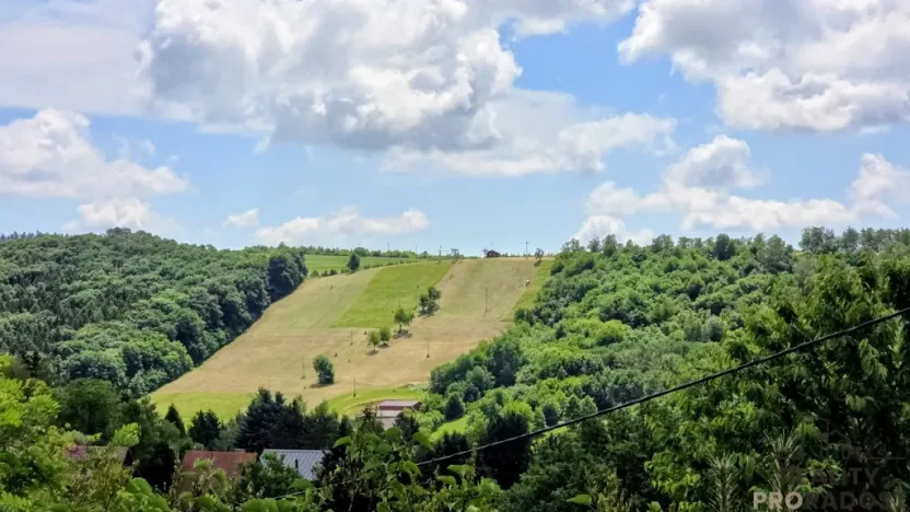 Prodej chaty, Osvětimany, 50 m2