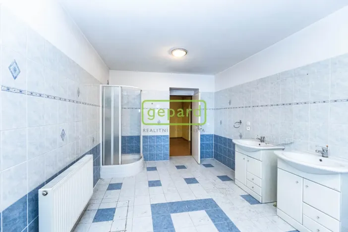 Prodej ubytování, Doksy - Staré Splavy, Dalibora z Myšlína, 330 m2