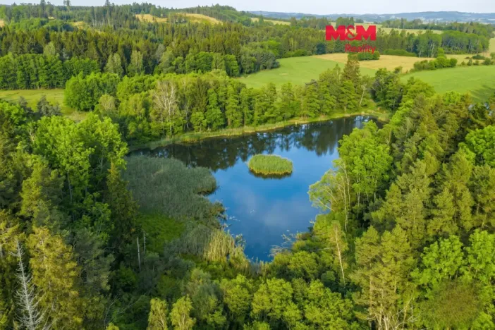 Prodej rybníku, Horní Ves, 21990 m2