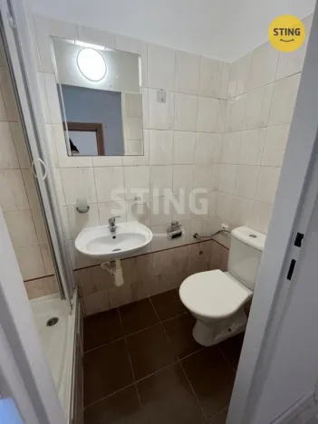 Pronájem bytu 1+1, Ostrava, Podzámčí, 38 m2