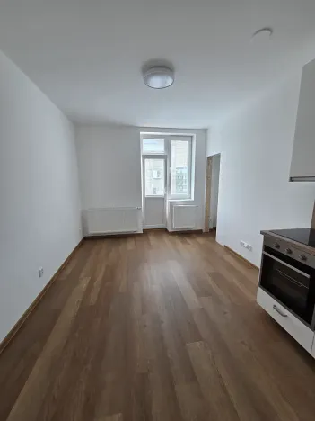 Pronájem bytu 2+kk, Praha - Vinohrady, Nad olšinami, 47 m2