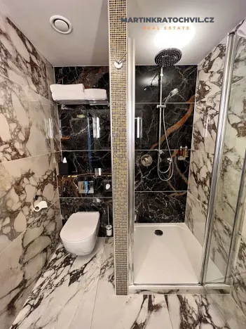 Pronájem bytu 1+kk, Praha - Staré Město, Bílkova, 29 m2