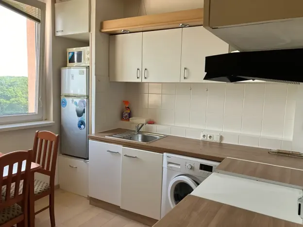 Pronájem bytu 1+1, Brno, U Velké ceny, 37 m2