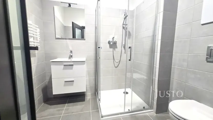 Pronájem bytu 1+1, Písek, Vladislavova, 40 m2