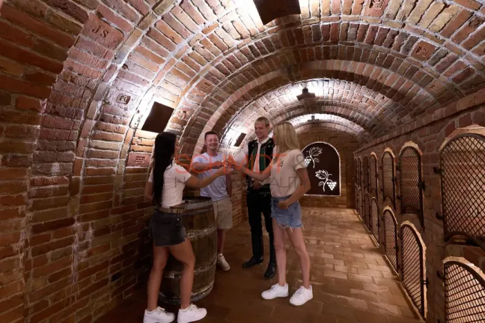 Prodej vinného sklepa, Bořetice, 120 m2