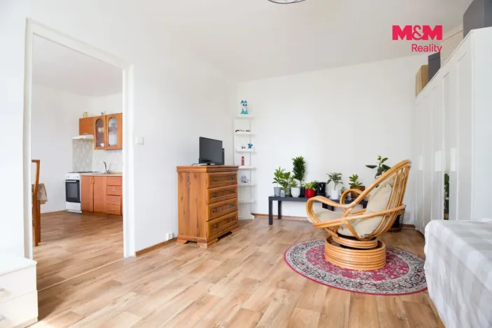 Prodej bytu 1+1, Chomutov, 17. listopadu, 36 m2