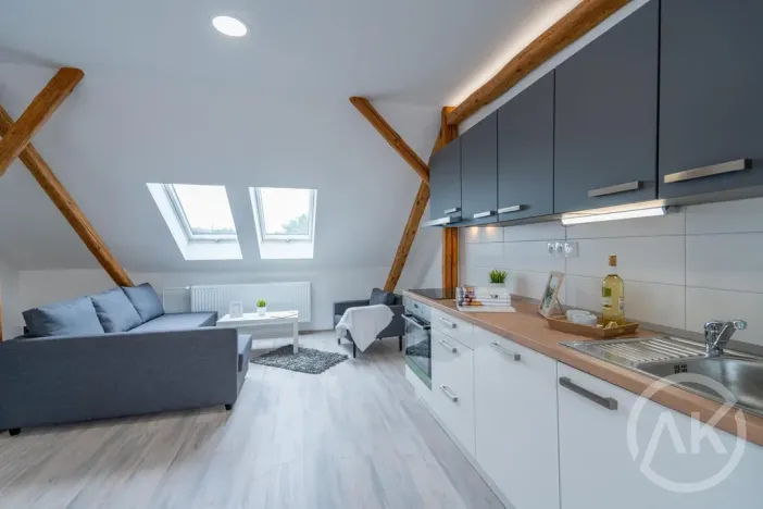 Pronájem bytu 1+kk, Ostrava - Vítkovice, Erbenova, 45 m2