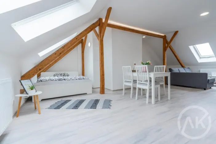 Pronájem bytu 1+kk, Ostrava - Vítkovice, Erbenova, 45 m2