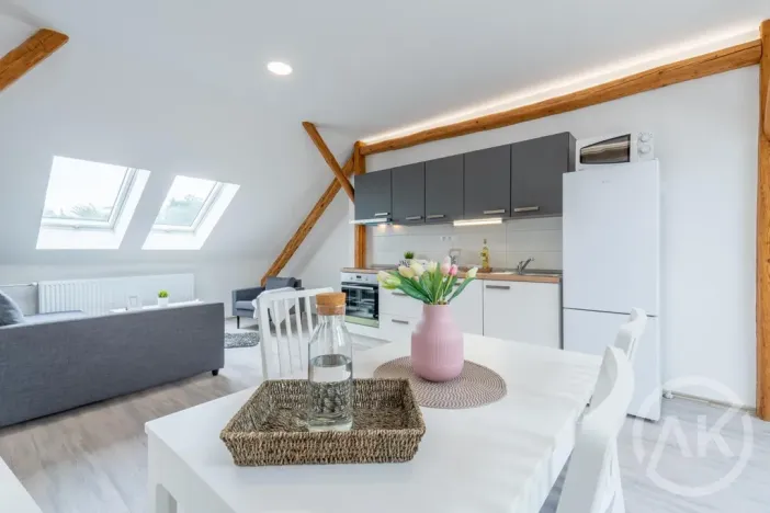 Pronájem bytu 1+kk, Ostrava - Vítkovice, Erbenova, 45 m2