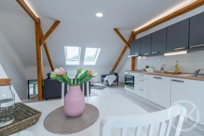 Pronájem bytu 1+kk, Ostrava - Vítkovice, Erbenova, 45 m2