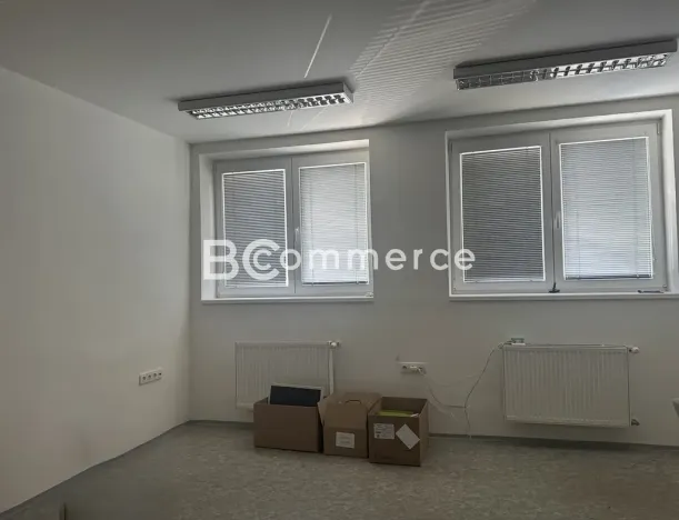 Pronájem kanceláře, Brno, 173 m2