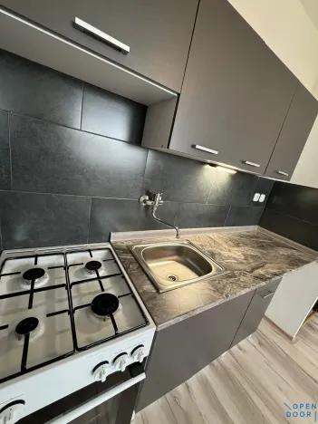 Pronájem bytu 1+1, Chomutov, 17. listopadu, 35 m2