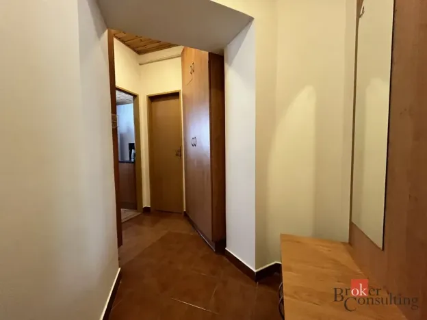 Pronájem bytu 2+kk, Opava - Předměstí, třída Spojenců, 46 m2