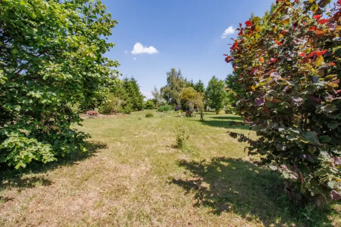 Prodej pozemku pro bydlení, Strašín - Maleč, 4306 m2