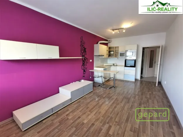 Pronájem bytu 1+kk, Plzeň, K Dolovu, 32 m2