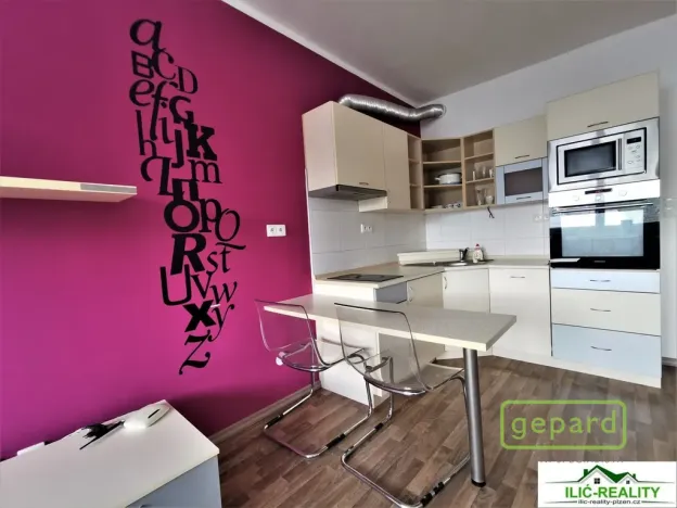Pronájem bytu 1+kk, Plzeň, K Dolovu, 32 m2