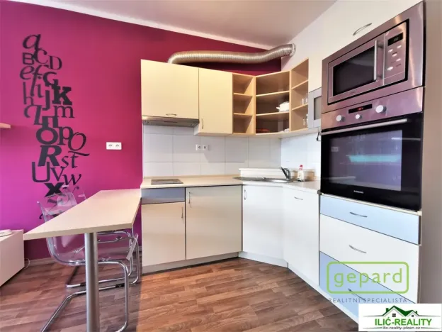 Pronájem bytu 1+kk, Plzeň, K Dolovu, 32 m2