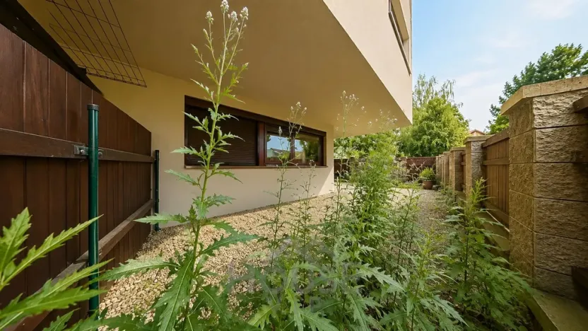 Prodej bytu 2+kk, Praha - Dolní Chabry, 52 m2