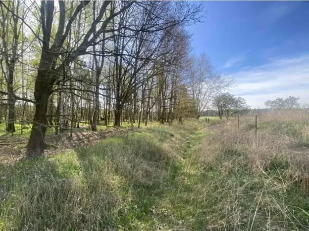 Dražba louky, Hranice, 2086 m2