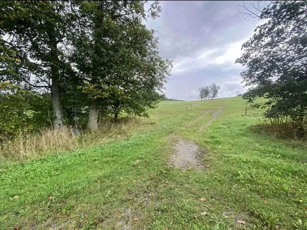 Dražba pozemku pro bydlení, Černá v Pošumaví, 4978 m2
