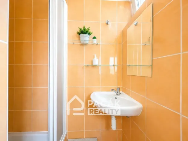 Pronájem bytu 1+kk, Olomouc, Dukelská, 24 m2