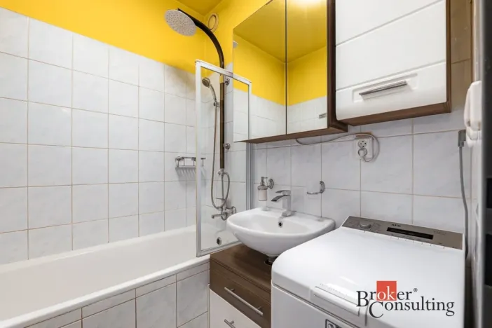 Pronájem bytu 1+1, Plzeň - Skvrňany, U Dráhy, 40 m2