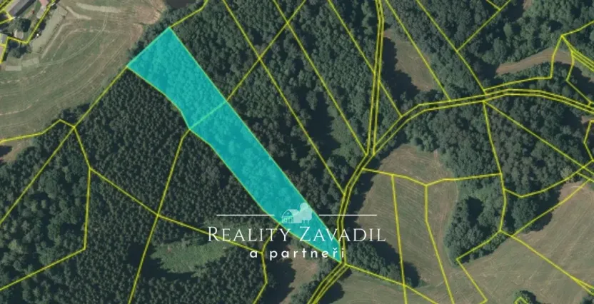 Prodej lesa, Sedlec-Prčice - Sušetice, 8504 m2