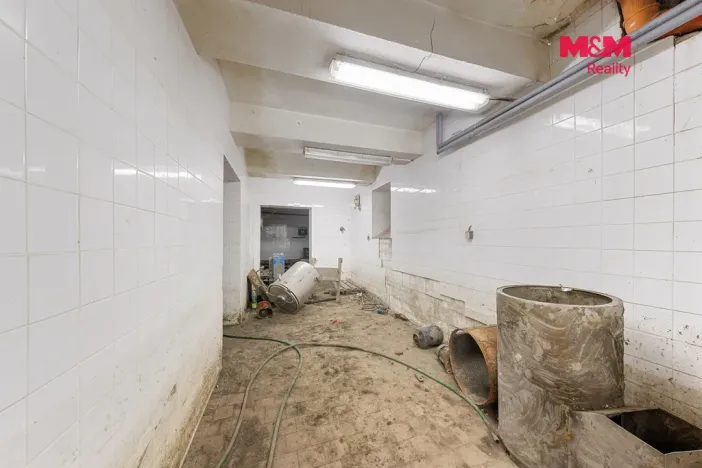 Prodej výrobních prostor, Děčín - Děčín VI-Letná, Dělnická, 1250 m2