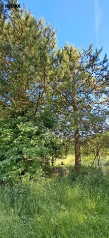 Prodej pozemku pro bydlení, Drmoul, 4438 m2