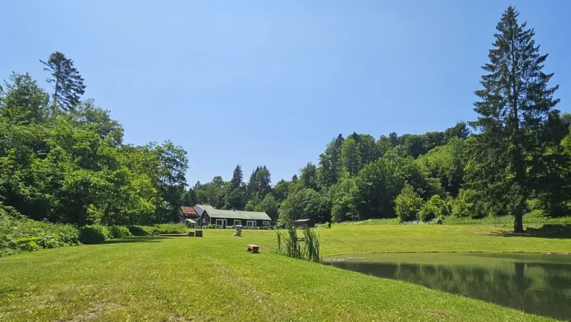 Prodej pozemku pro bydlení, Zábřeh - Dolní Bušínov, 4122 m2
