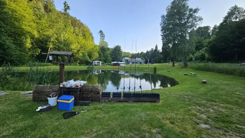 Prodej pozemku pro bydlení, Zábřeh - Dolní Bušínov, 4122 m2