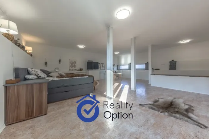 Prodej vícegeneračního domu, Kostelec nad Černými lesy - Kostelec nad Černými Lesy, Pražská, 361 m2