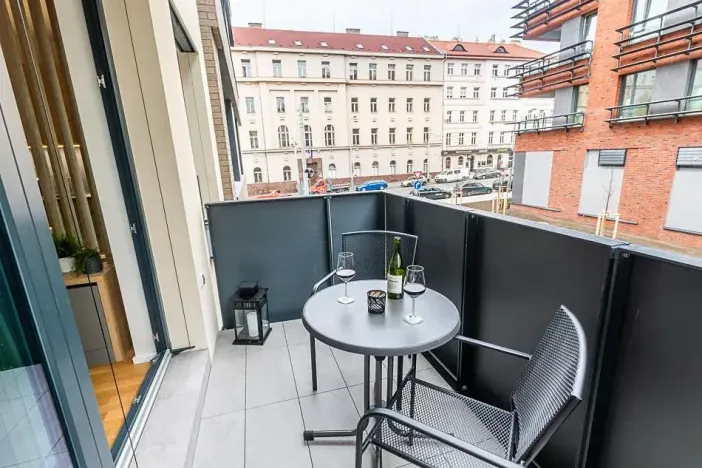 Pronájem bytu 1+kk, Praha - Žižkov, Seifertova, 29 m2