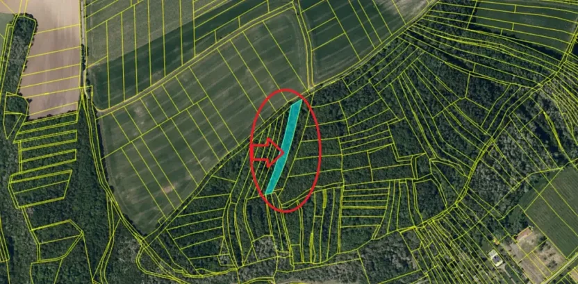 Prodej podílu lesa, Pustiměř, 1292 m2