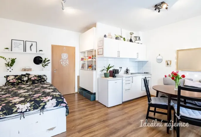 Pronájem bytu 1+kk, Praha - Hostivař, Vladycká, 28 m2