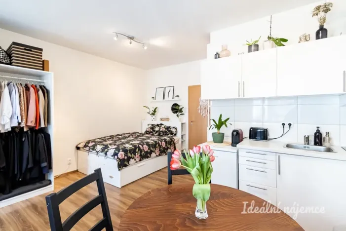 Pronájem bytu 1+kk, Praha - Hostivař, Vladycká, 28 m2